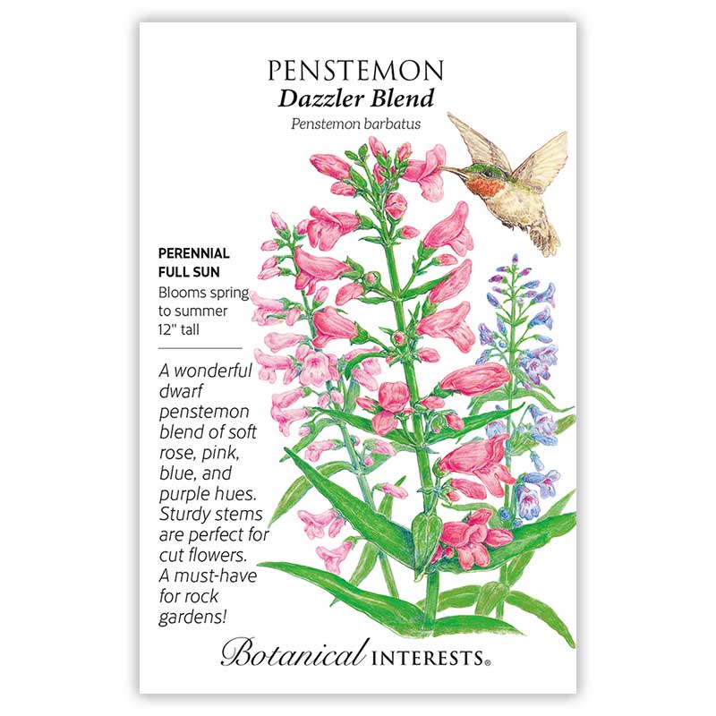 Dazzler Blend Penstemon Seeds - Image 3