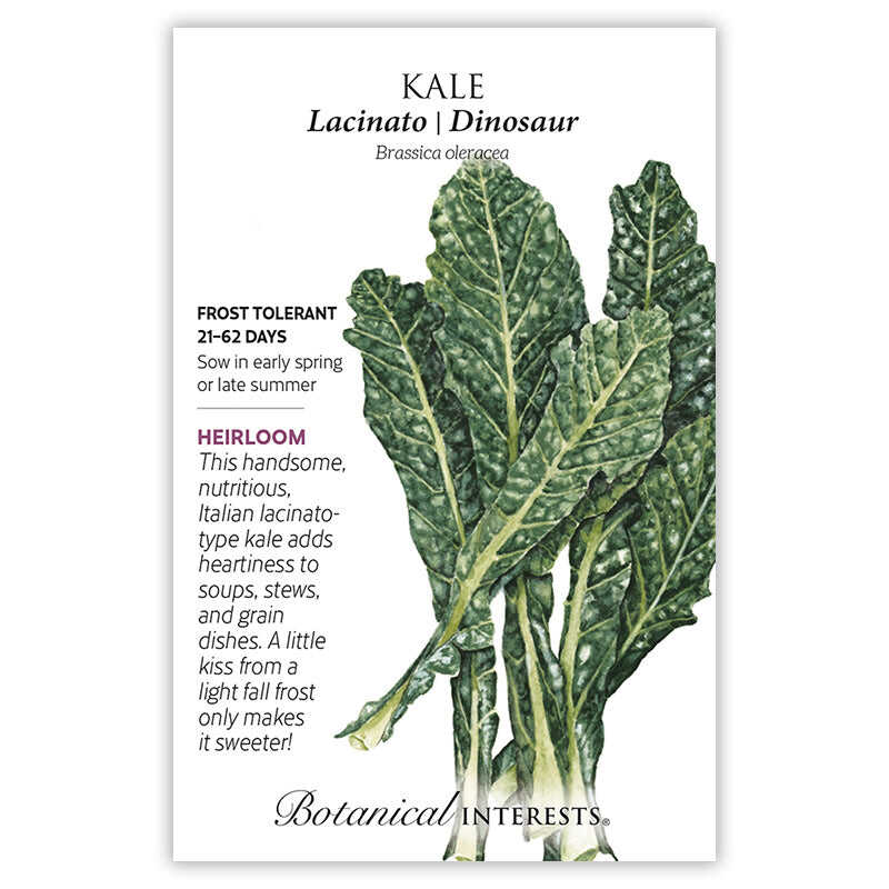 The Beginner’s Garden Seed Bundle - Image 9
