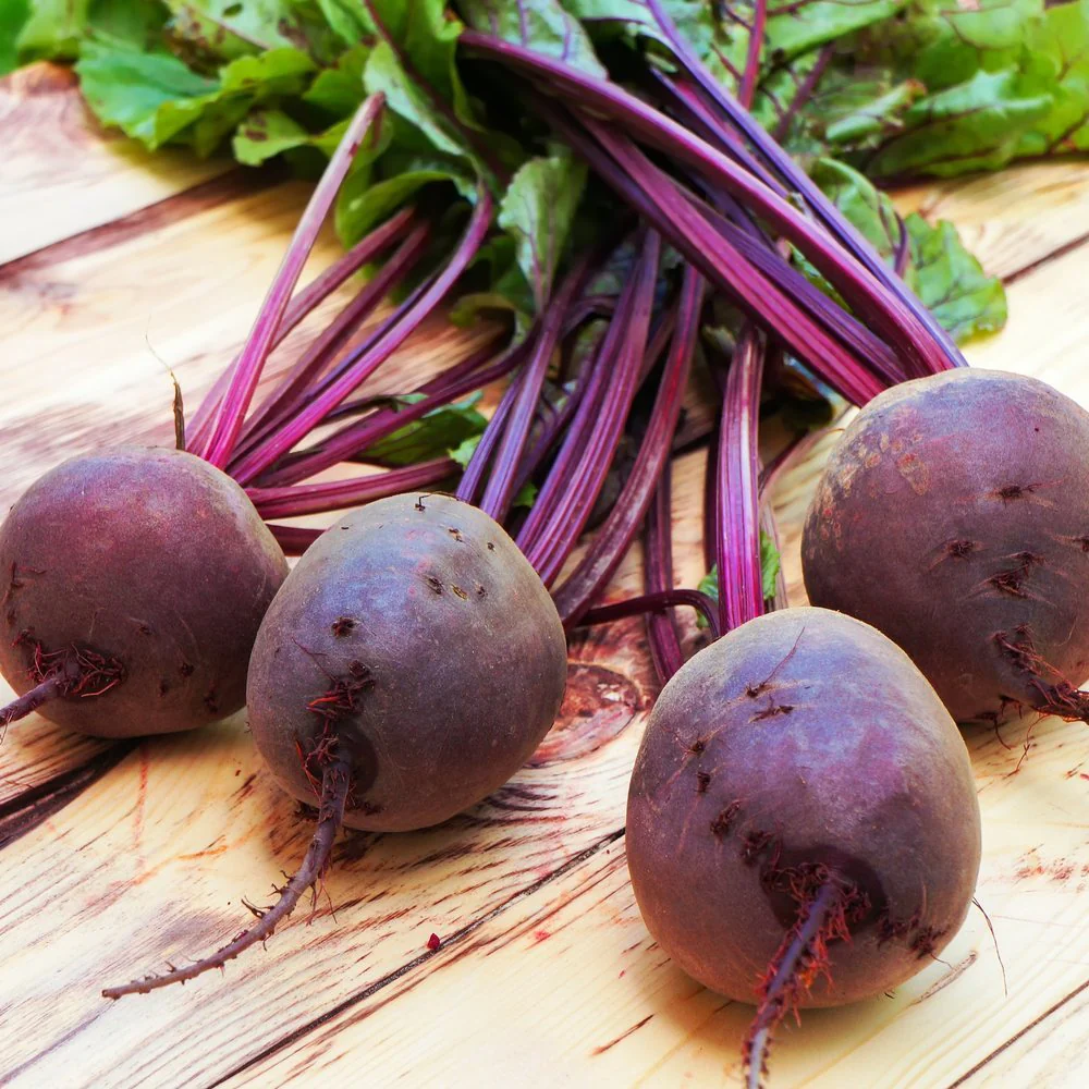 Detroit Dark Red Beet Seeds - Image 4