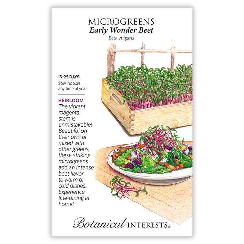 Early Wonder Beet Microgreens Seeds - Image 3