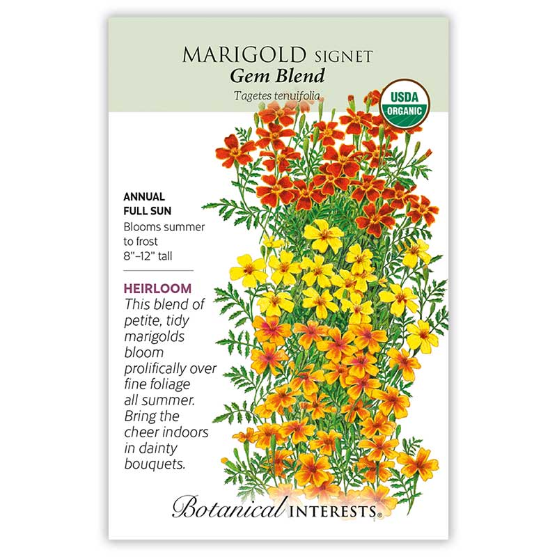 Earth Day Seed Bundle - Image 3