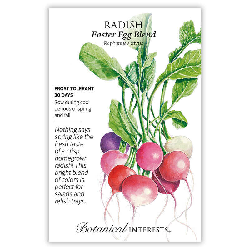 Easter Egg Blend Radish Seeds - Image 4