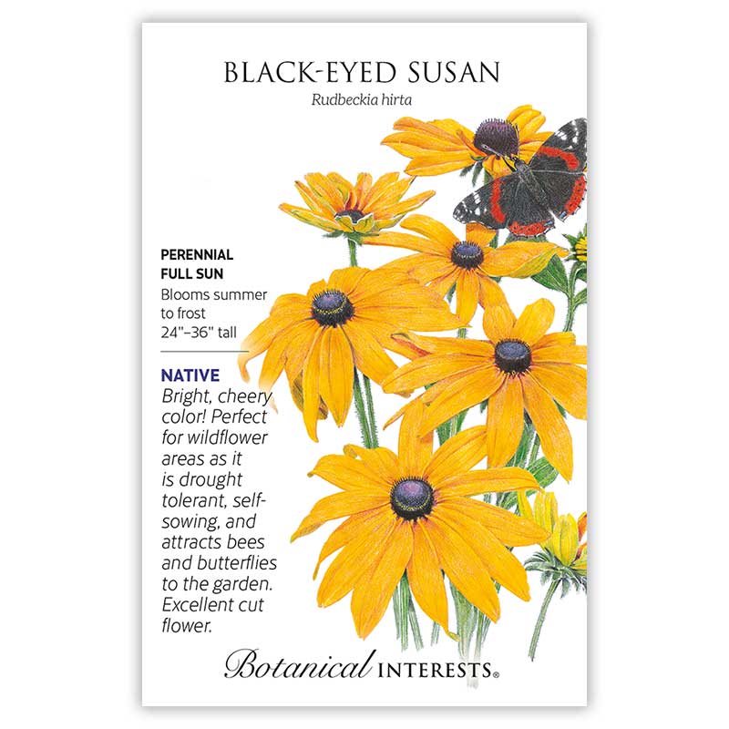 Eastern Breeze Butterfly Gift Set - Image 4