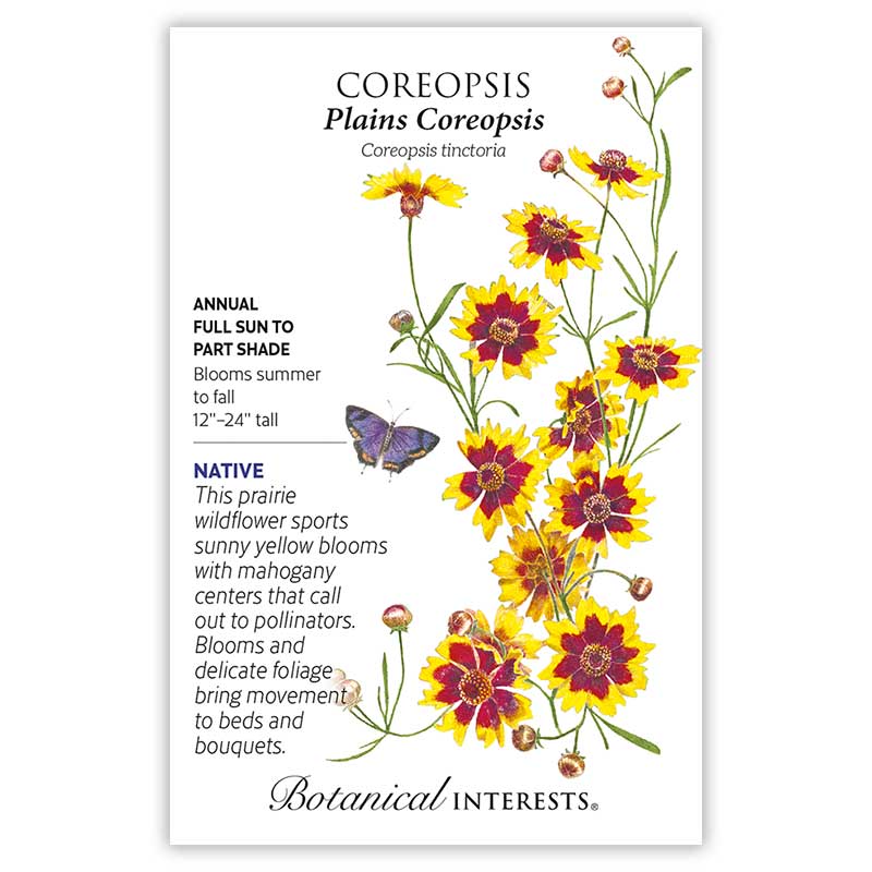 Eastern Breeze Butterfly Gift Set - Image 5