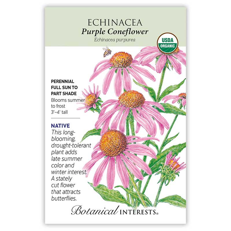Eastern Breeze Butterfly Gift Set - Image 6