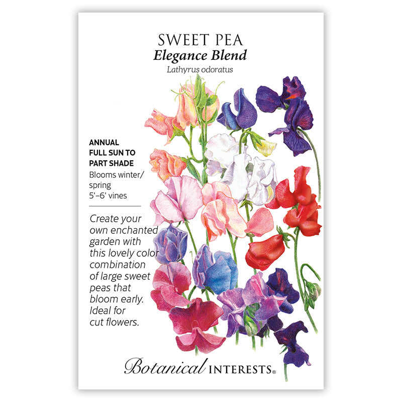 Elegance Blend Sweet Pea Seeds - Image 3