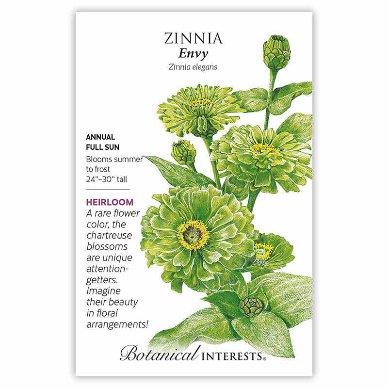 Envy Zinnia Seeds - Image 3