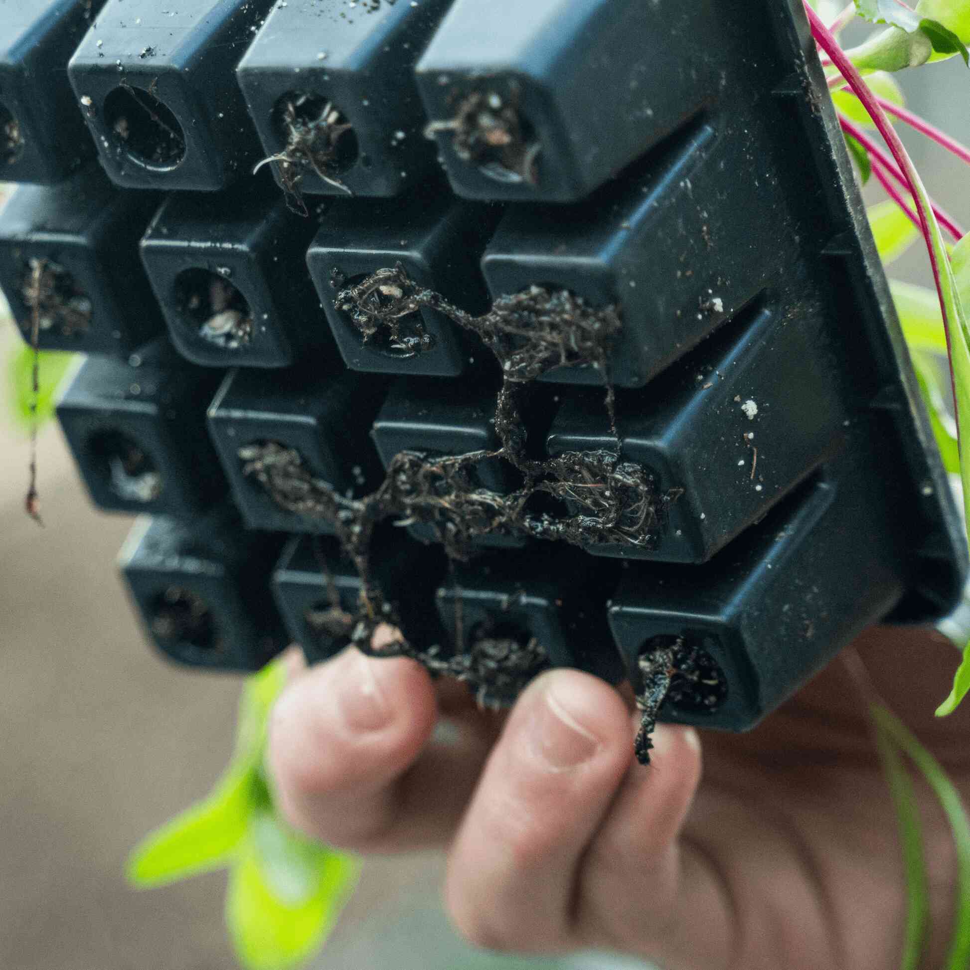 Epic 16-Cell Seed Starting Trays - Image 5