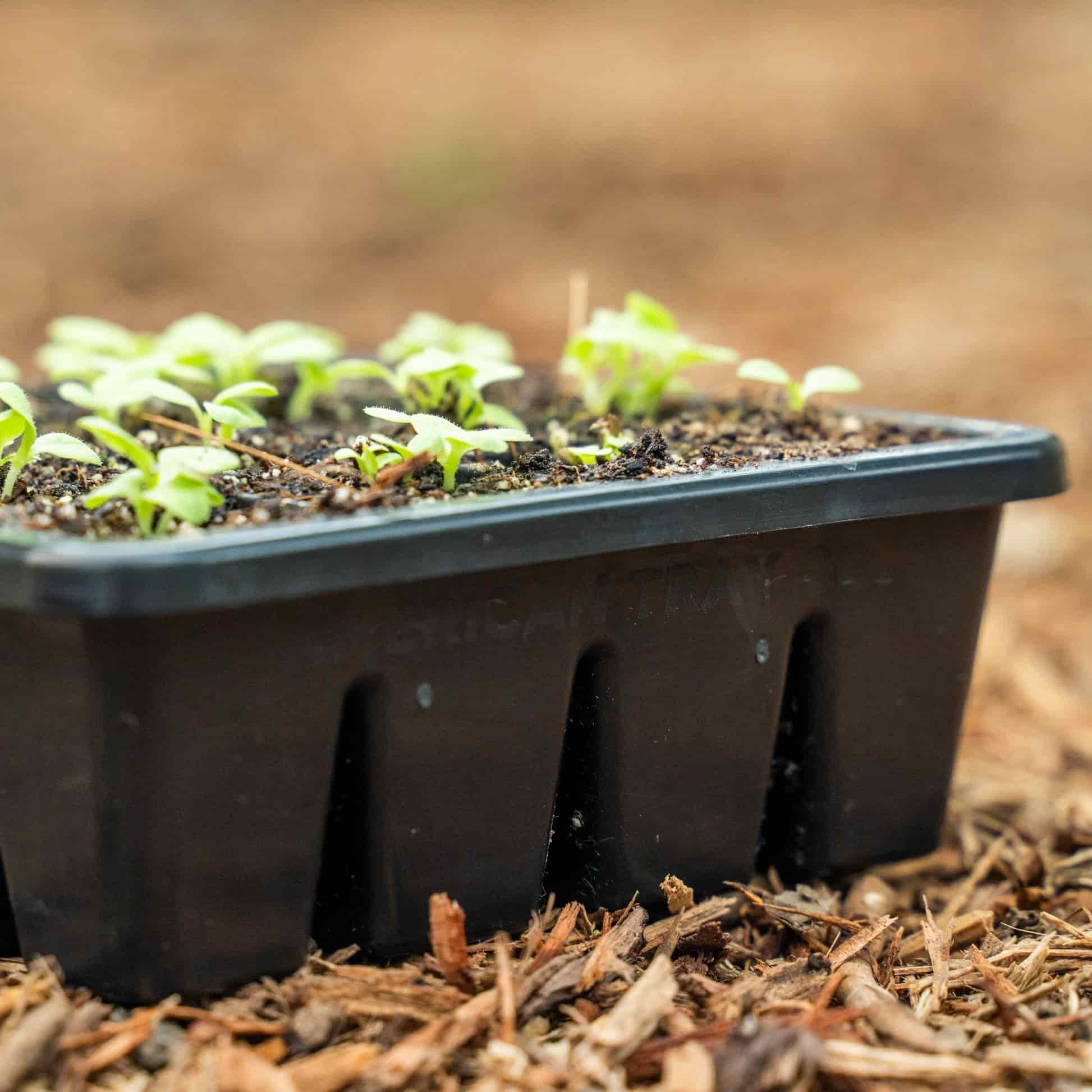 Epic 16-Cell Seed Starting Trays - Image 8