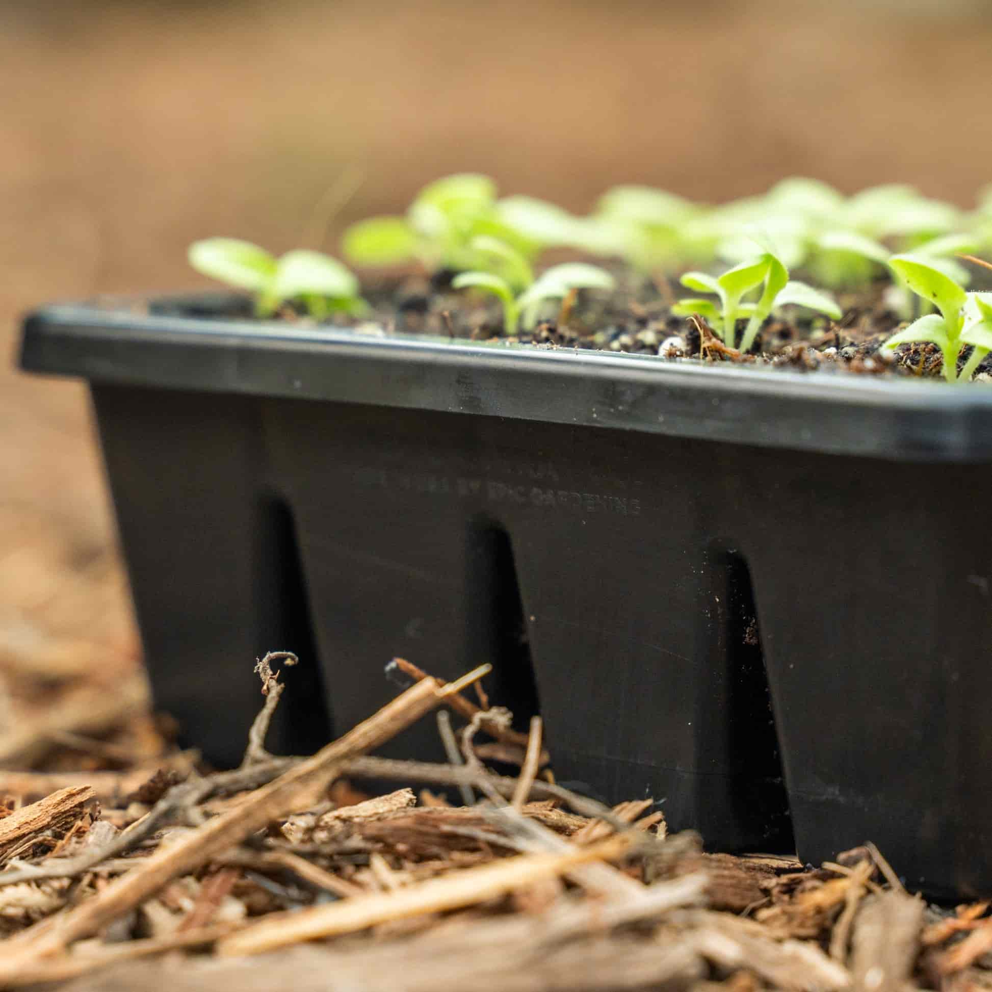 Epic 16-Cell Seed Starting Trays - Image 9