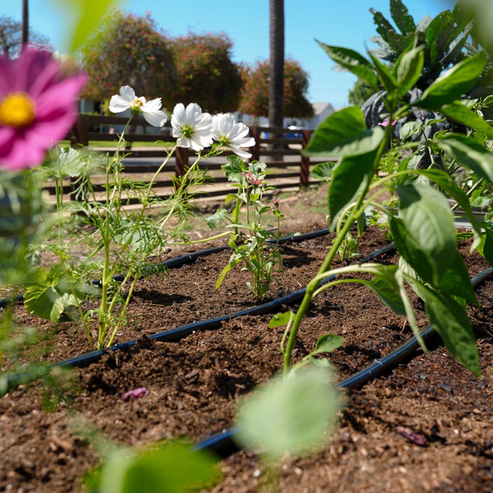 Epic Garden Watering System: Starter Kit - Image 11
