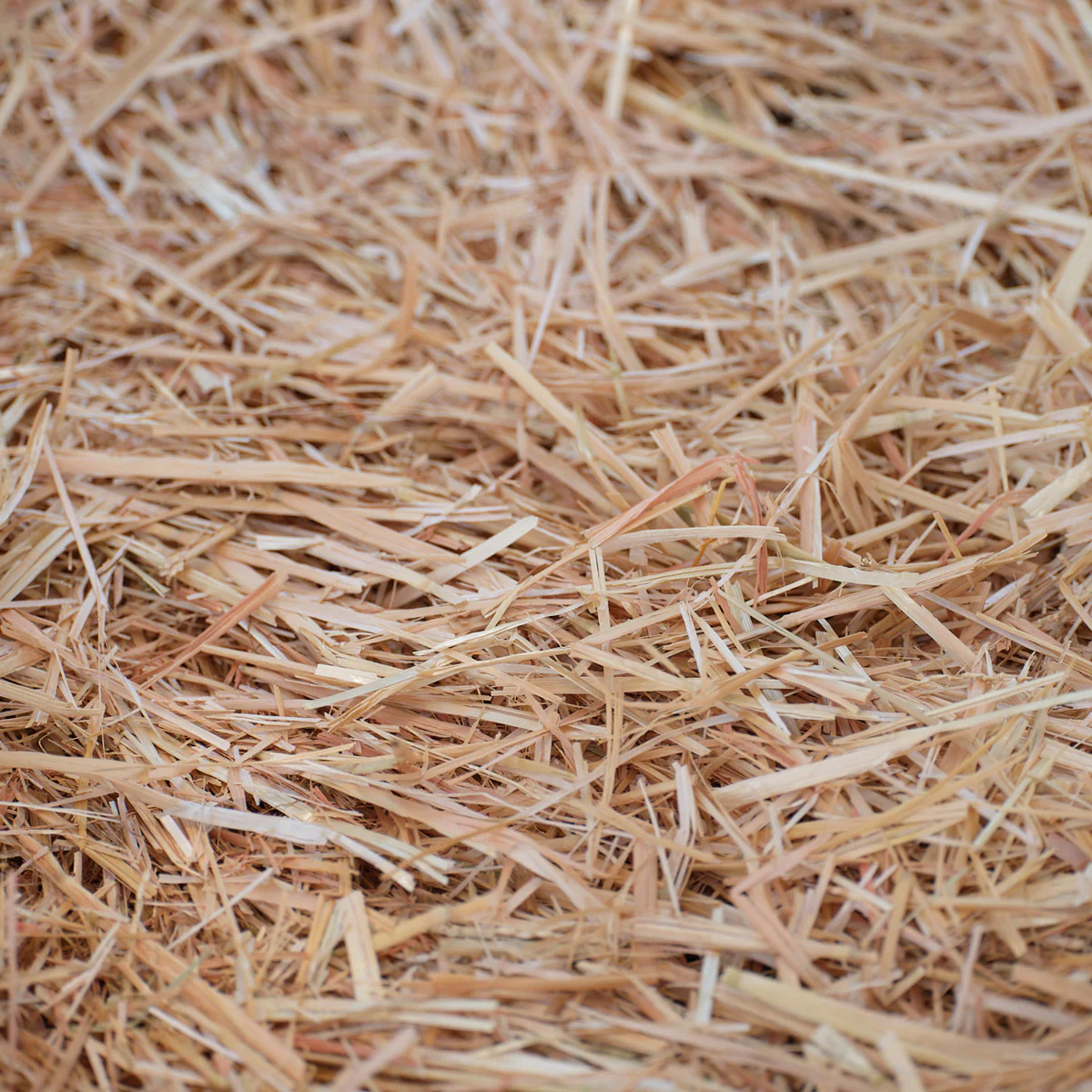 Epic Organic Garden Straw - Image 11