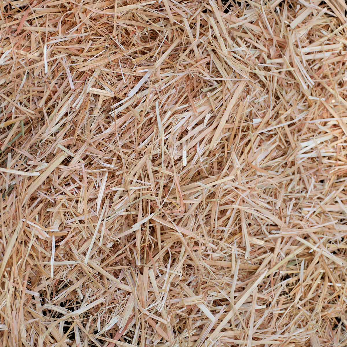 Epic Organic Garden Straw - Image 12