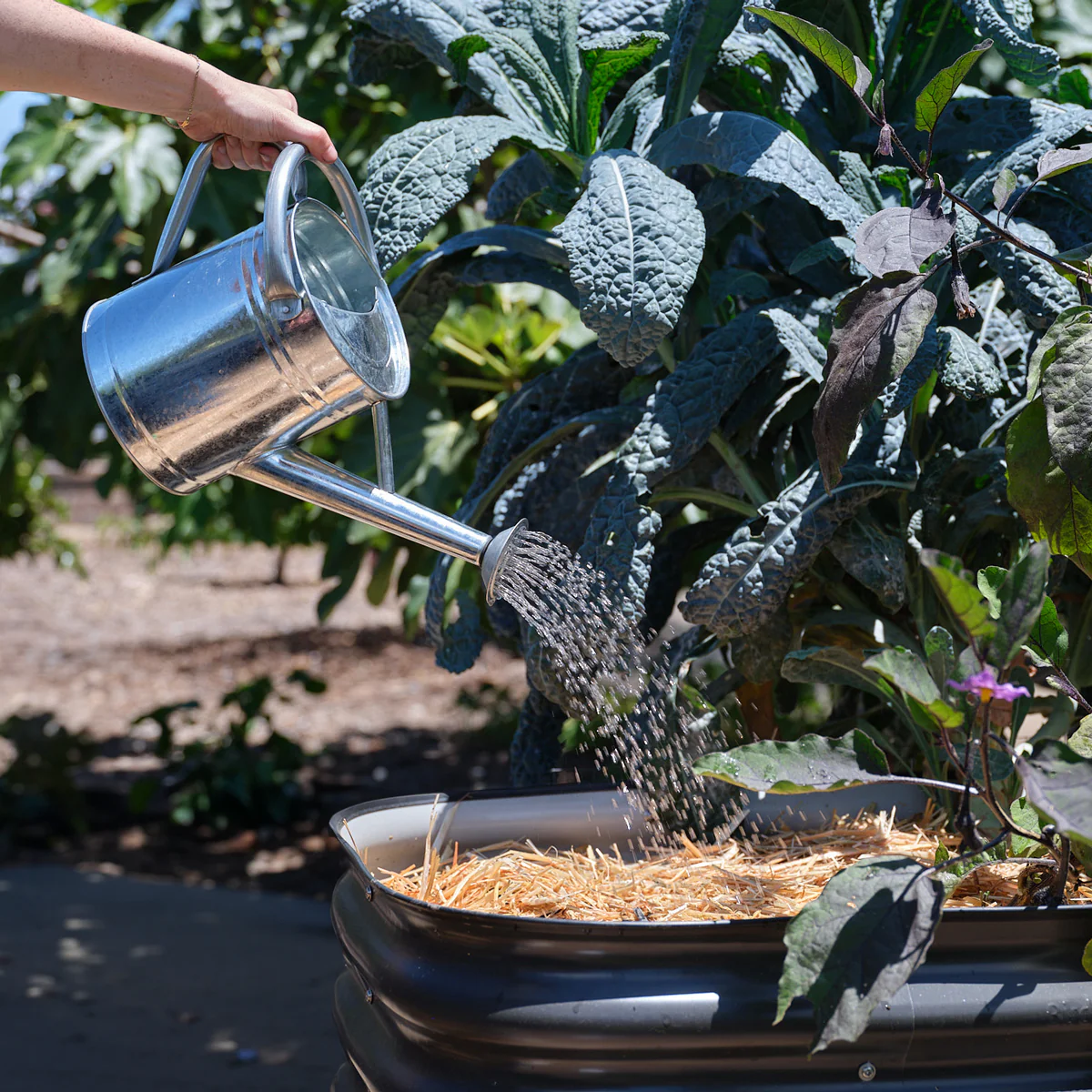 Epic Organic Garden Straw - Image 5