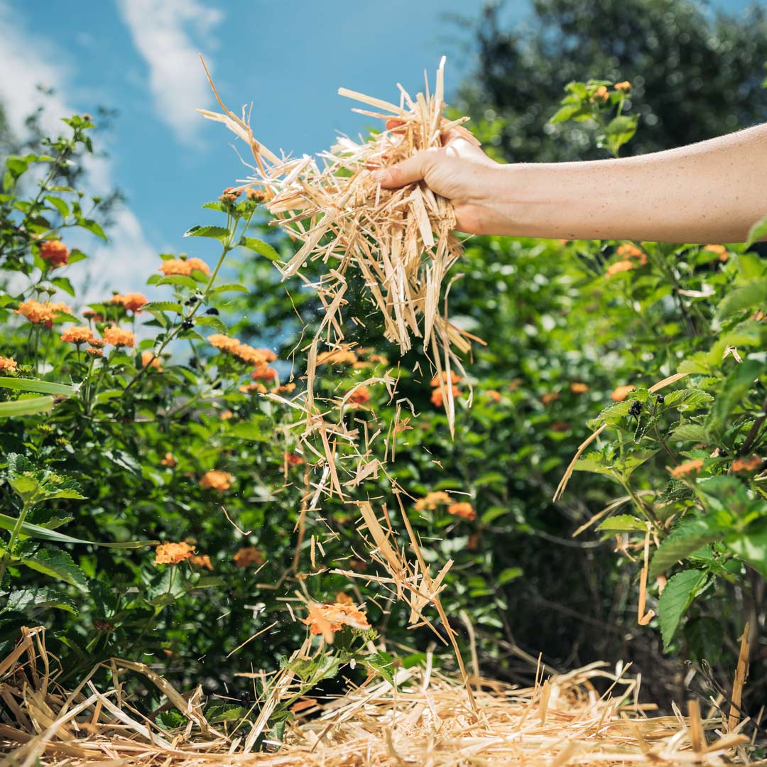 Epic Organic Garden Straw - Image 7