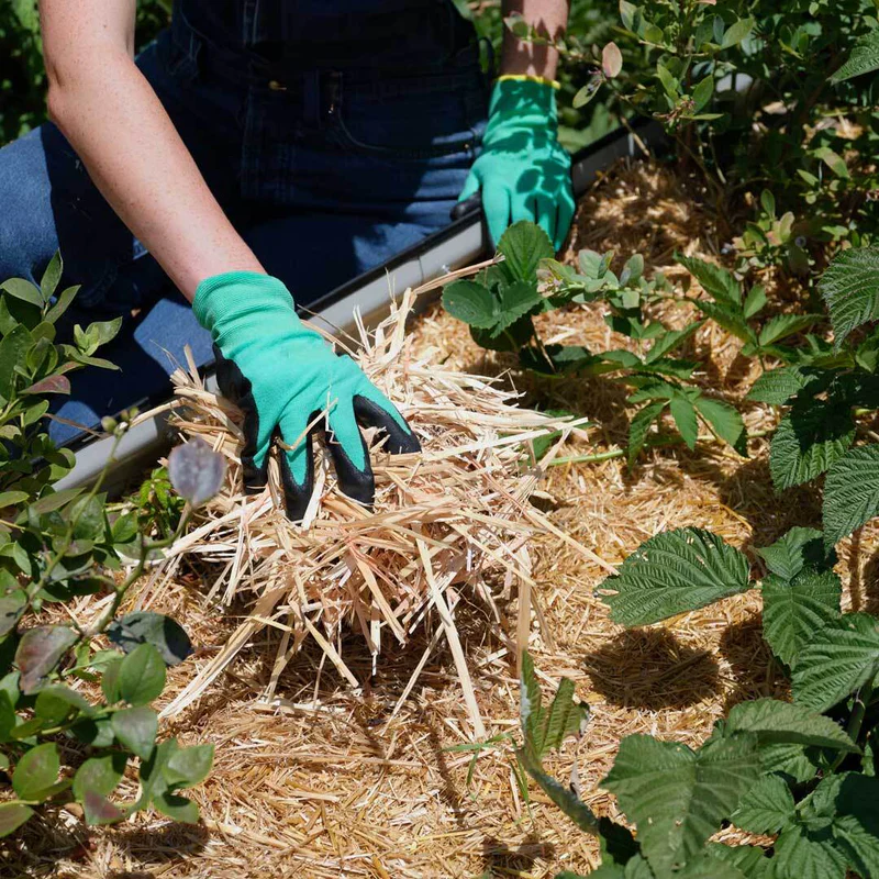 Epic Organic Garden Straw - Image 8