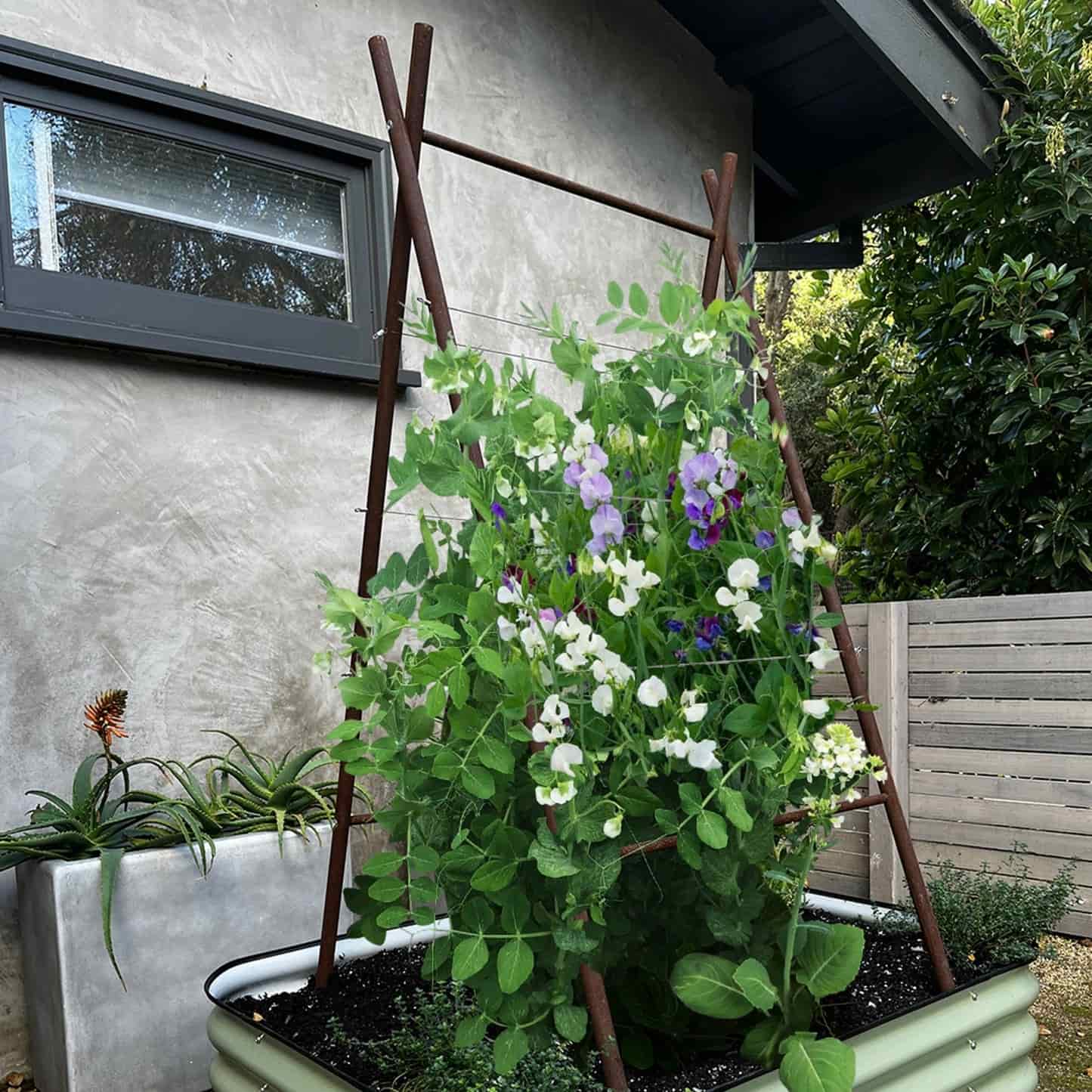 Epic x Terra Modern A-Frame - Image 3