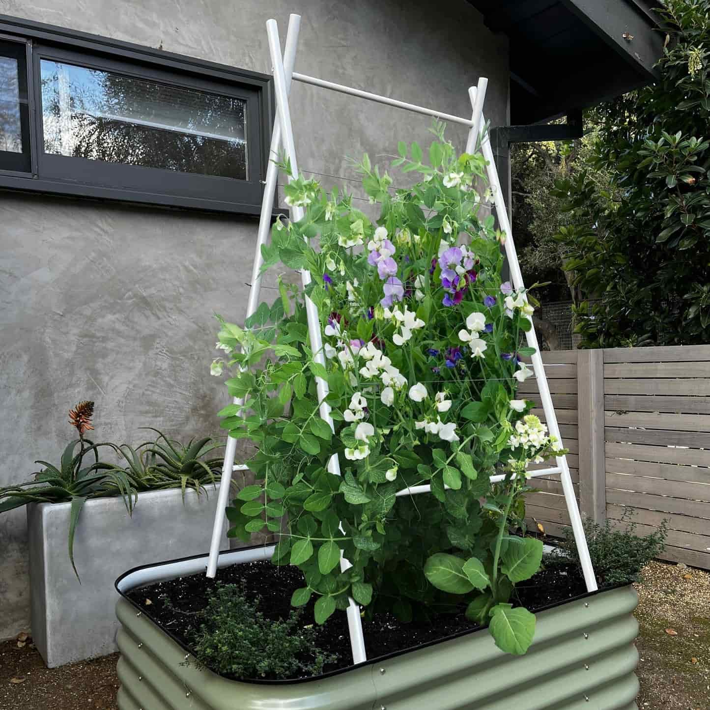 Epic x Terra Modern A-Frame - Image 4