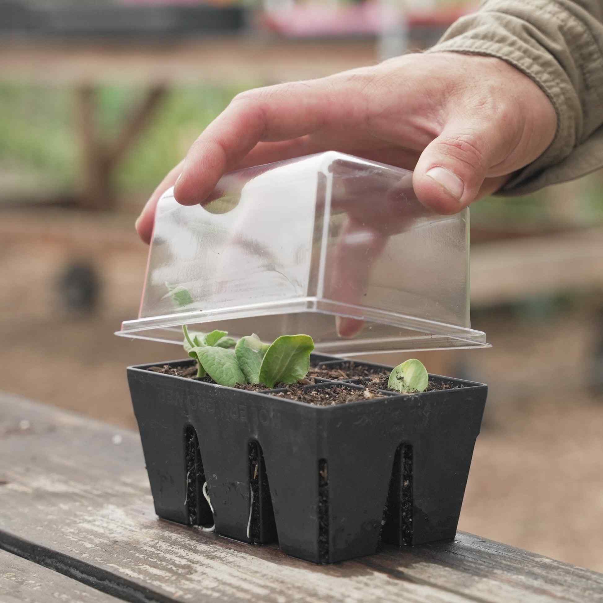 Epic Humidity Domes & Bottom Trays (6-Cell) - Image 5