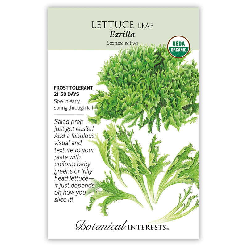 Ezrilla Leaf Lettuce Seeds - Image 3