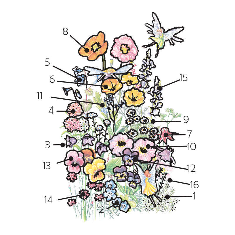 Fairy Meadow Flower Mix Seeds - Image 3