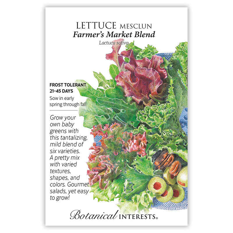 Farmer's Market Blend Mesclun Lettuce Seeds - Image 3