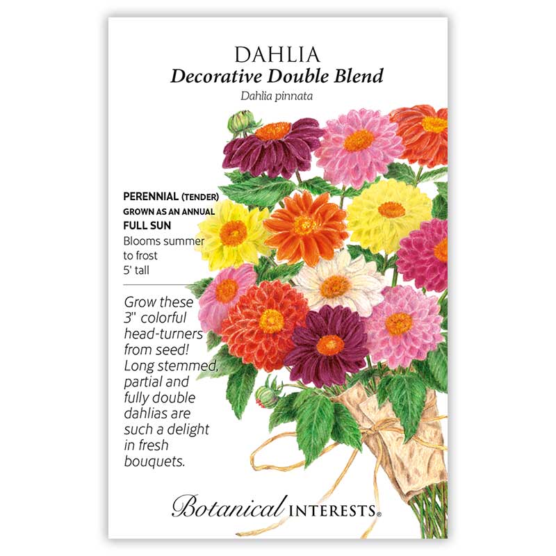 Cut Flower Garden Seed Bundle - Image 6