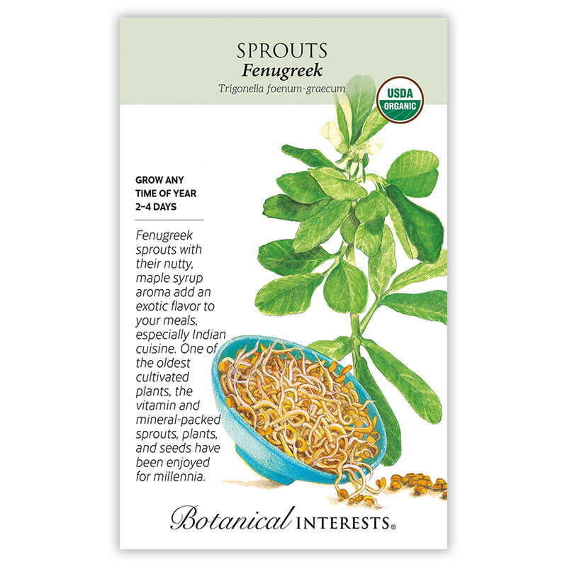 Fenugreek Sprouts Seeds - Image 2