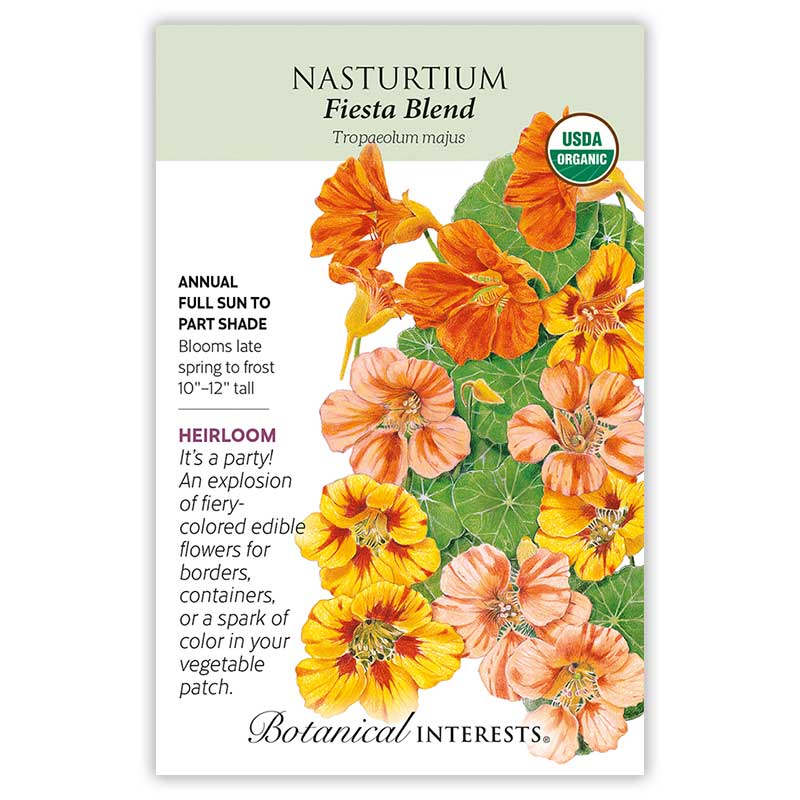 Fiesta Blend Nasturtium Seeds - Image 3