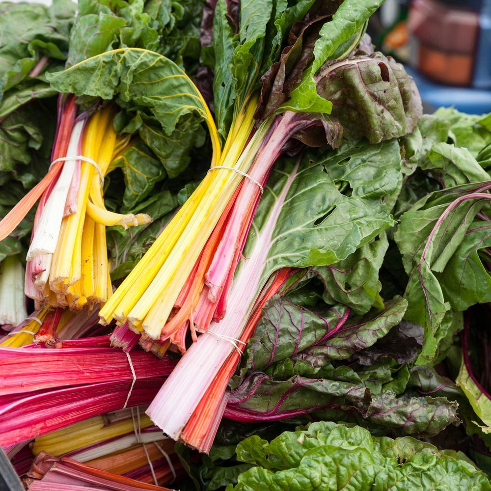 Five Color Silverbeet Swiss Chard Seeds - Image 4