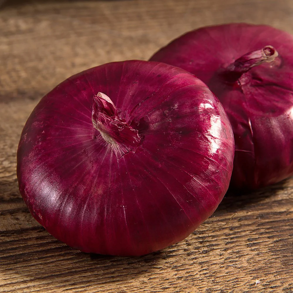Flat of Italy Bulb Cipollini Onion Seeds - Image 4