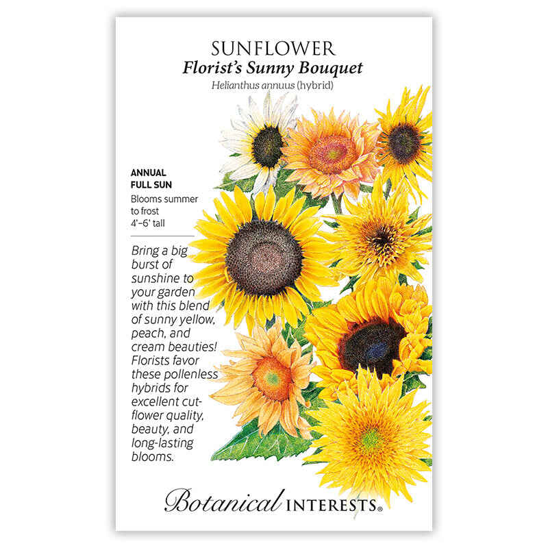 Florist's Sunny Bouquet Sunflower Seeds - Image 3
