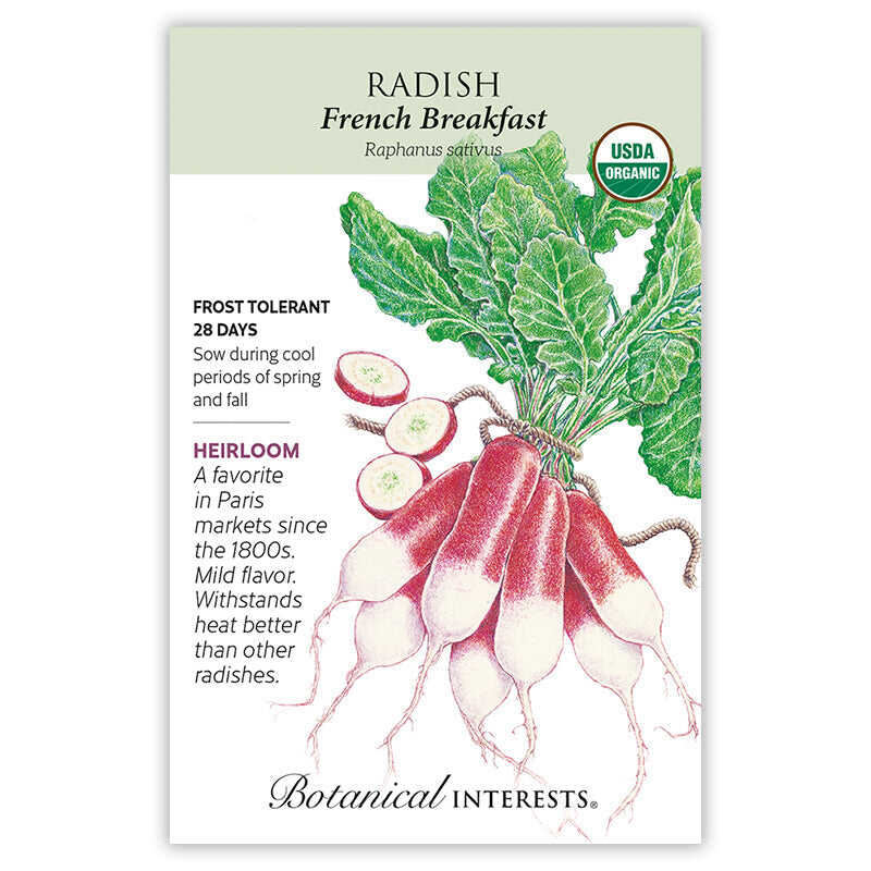 French Breakfast Radish Seeds - Image 3