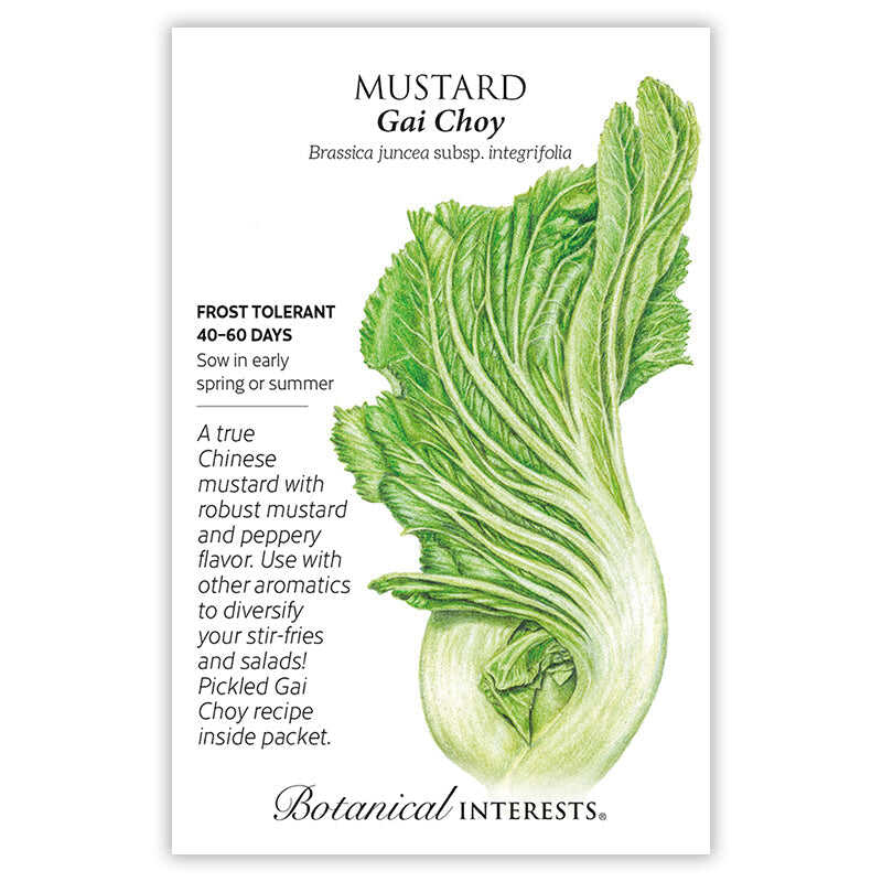 Gai Choy Mustard Seeds - Image 3