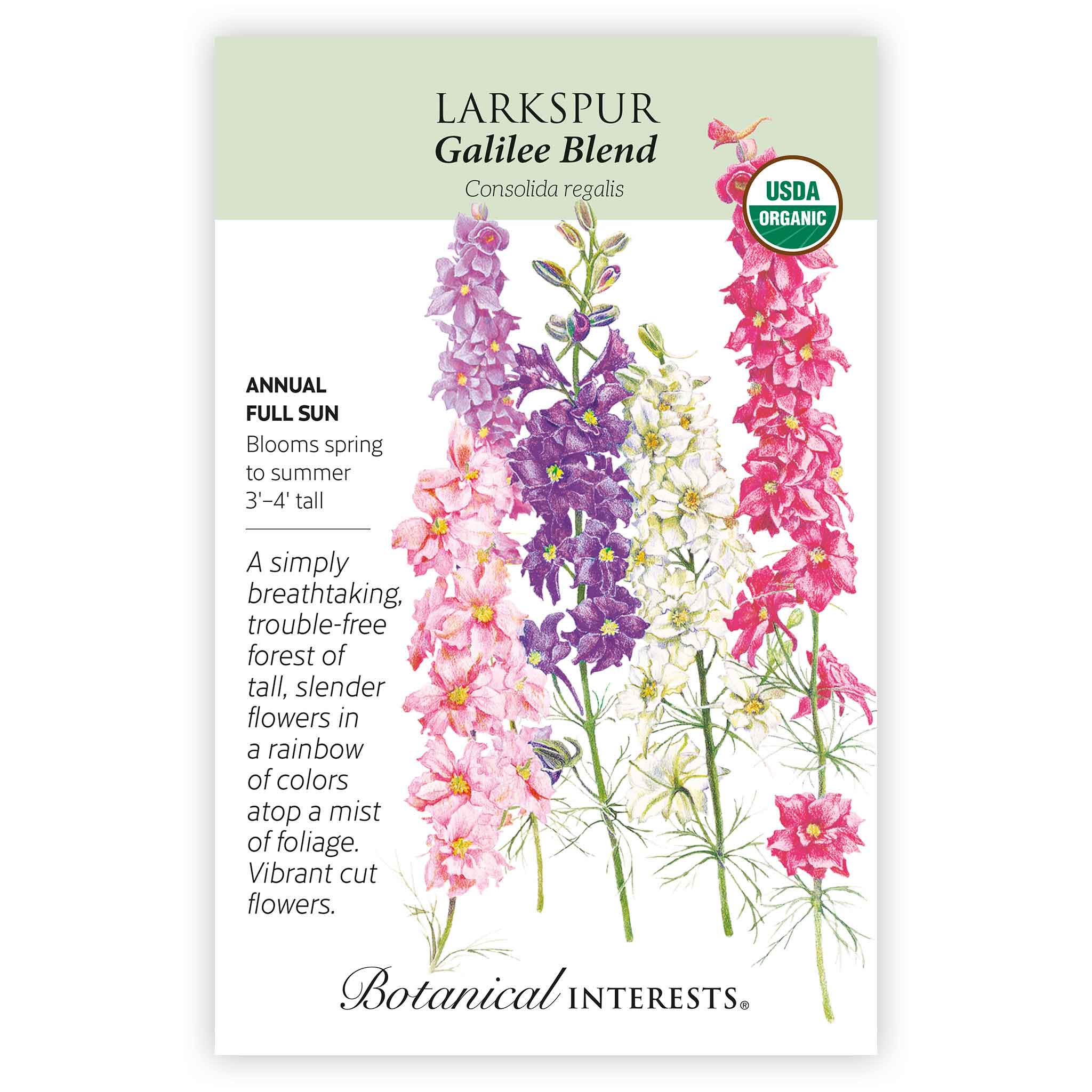 Galilee Blend Larkspur Seeds - Image 3