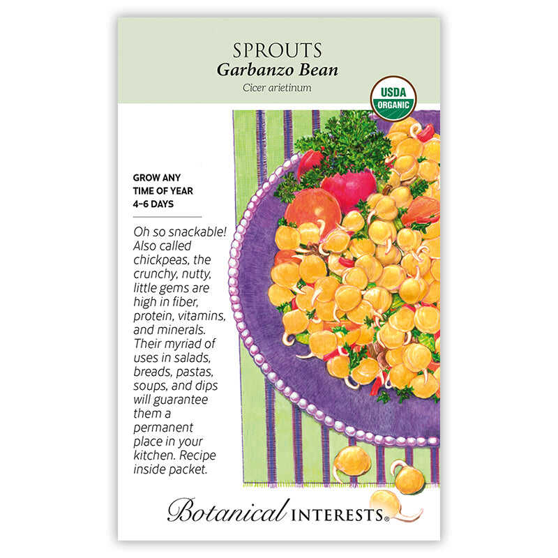 Garbanzo Bean Sprouts Seeds - Image 2