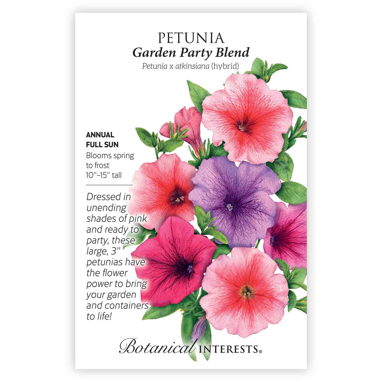 Garden Party Blend Petunia Seeds - Image 3