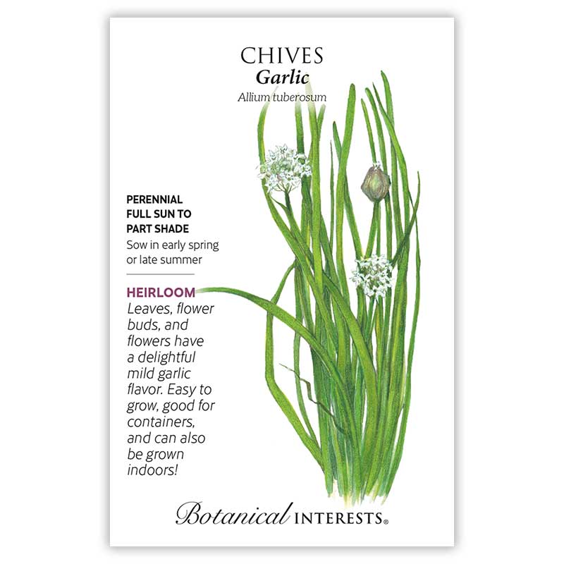 Garlic Chives Seeds - Image 3