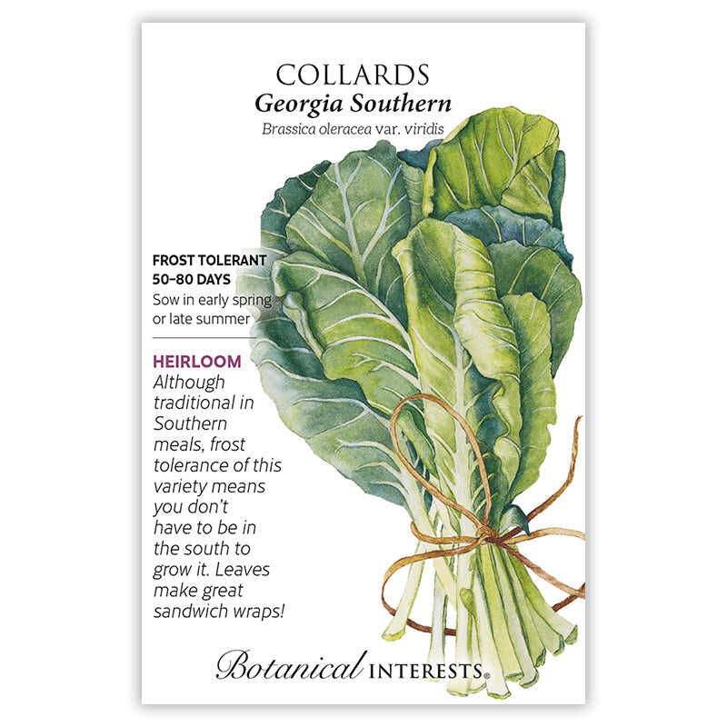 Georgia Southern Collards Seeds - Image 3