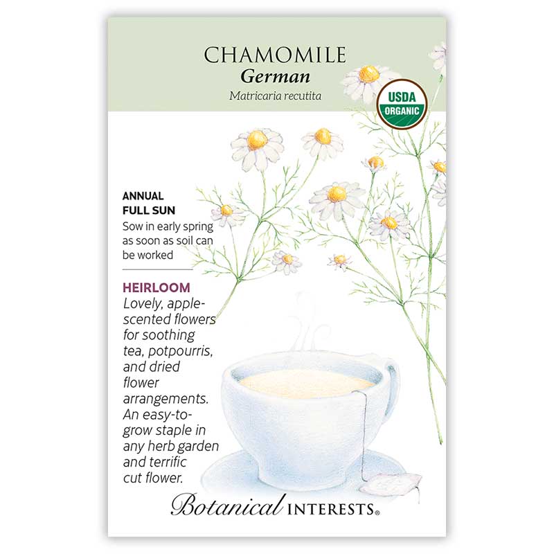 German Chamomile Seeds - Image 3