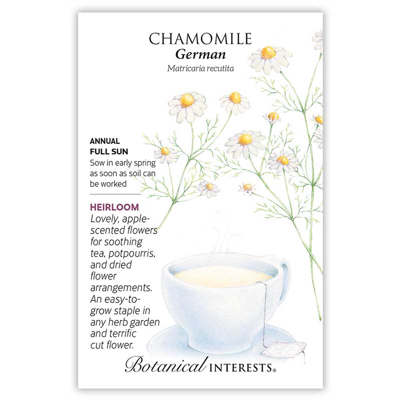 German Chamomile Seeds - Image 4