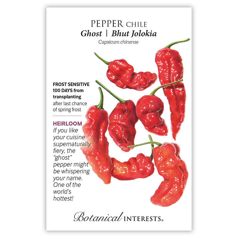 Ghost Bhut Jolokia Chile Pepper Seeds - Image 3
