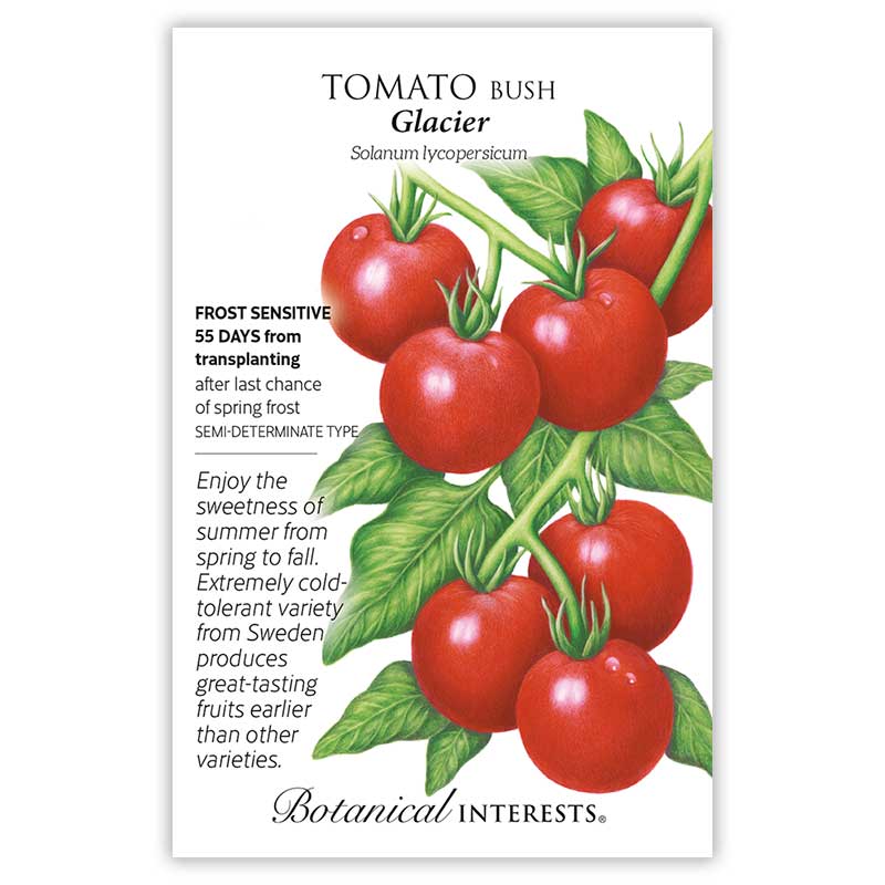 Glacier Bush Tomato Seeds - Image 3