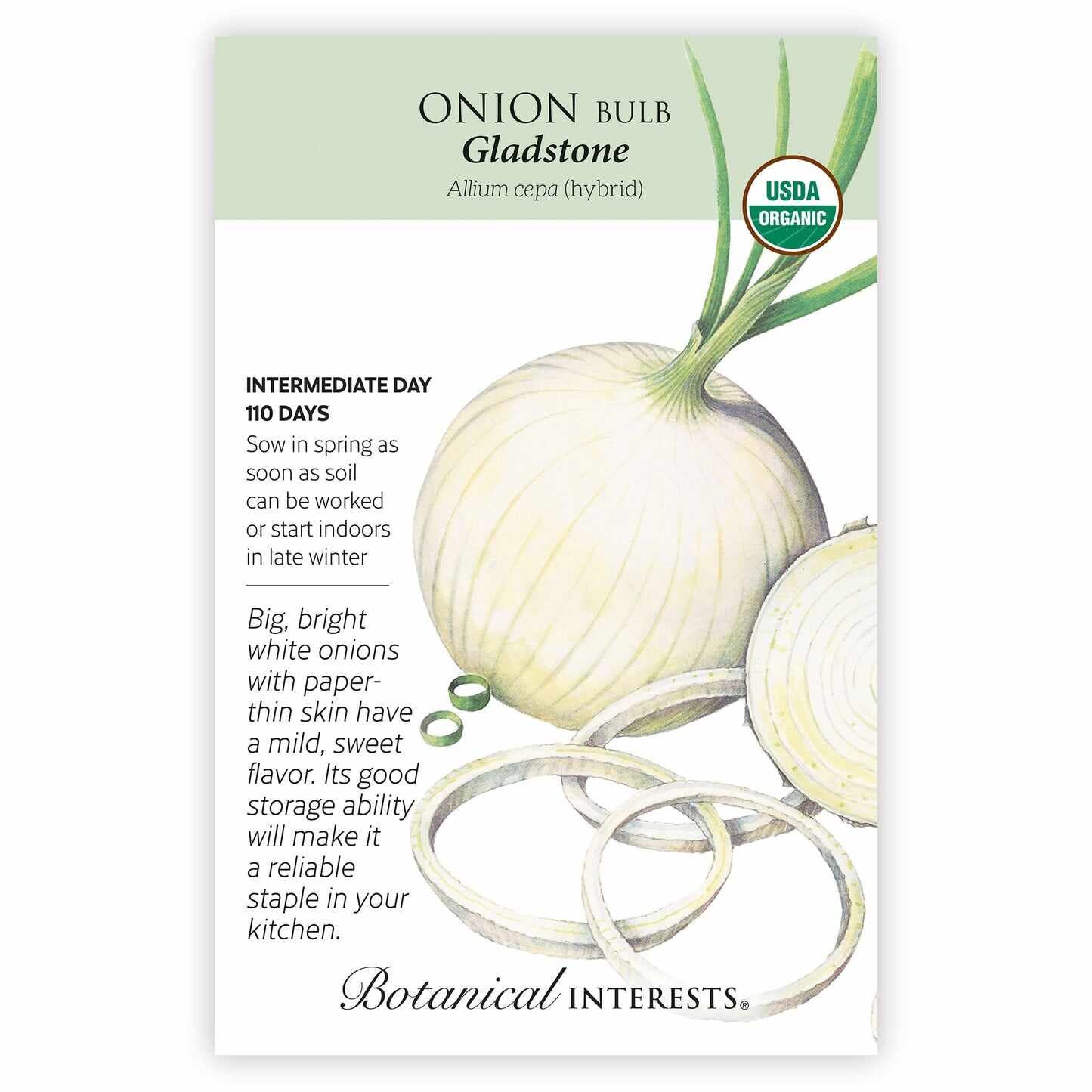 Gladstone Onion Seeds - Image 3