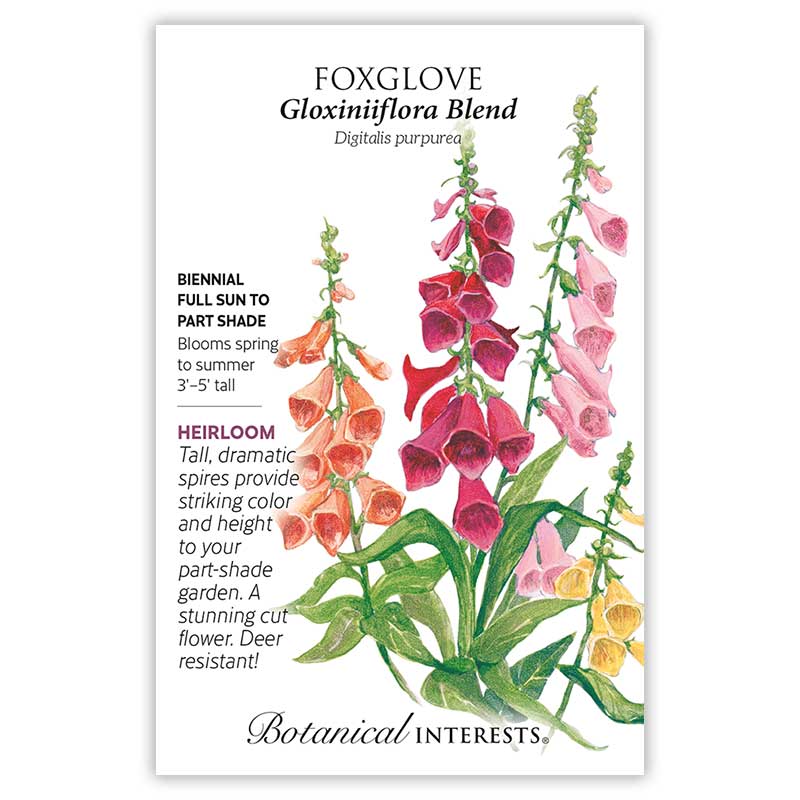 Gloxiniiflora Blend Foxglove Seeds - Image 3
