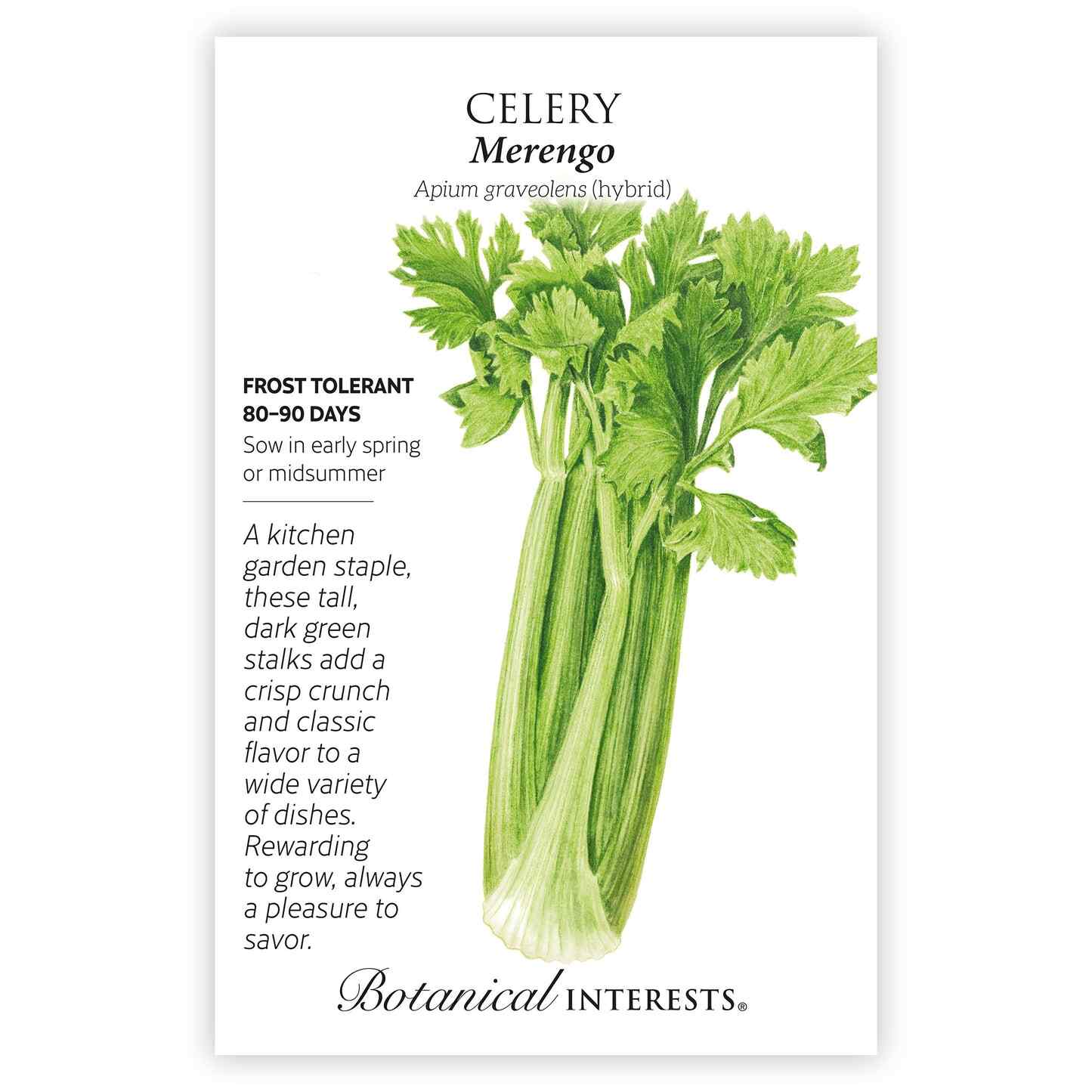 Good Soup Seed Bundle - Image 6