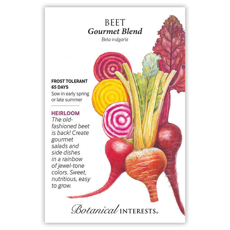 Gourmet Blend Beet Seeds - Image 4