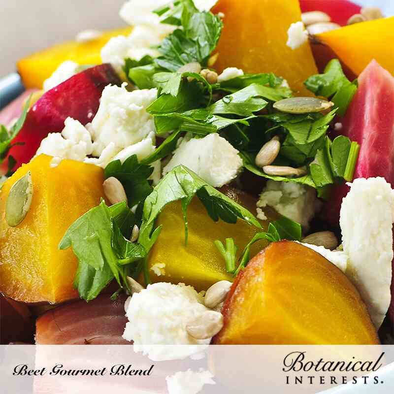 Gourmet Blend Beet Seeds - Image 5