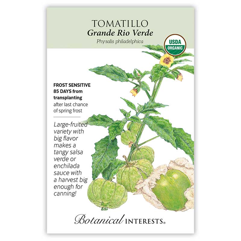 Grande Rio Verde Tomatillo Seeds - Image 3