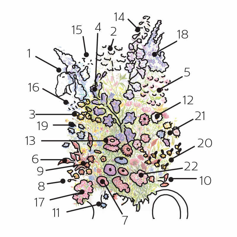Grandmother's Cut Flower Garden Flower Mix Seeds - Image 3